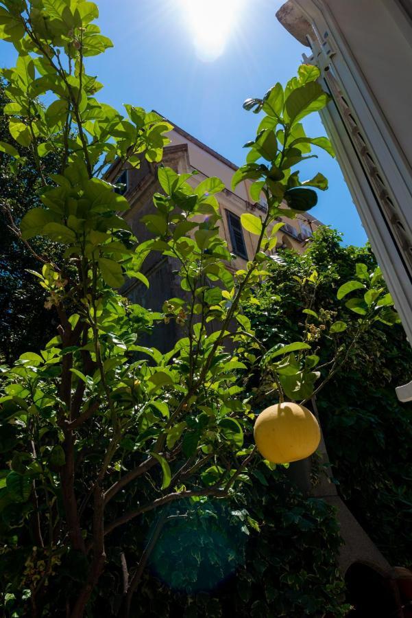 Villa Ida Dubrovnik Eksteriør bilde